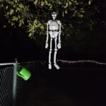 WhatsApp Bild 2025-10-27 um 14.54.40_a1d00b44